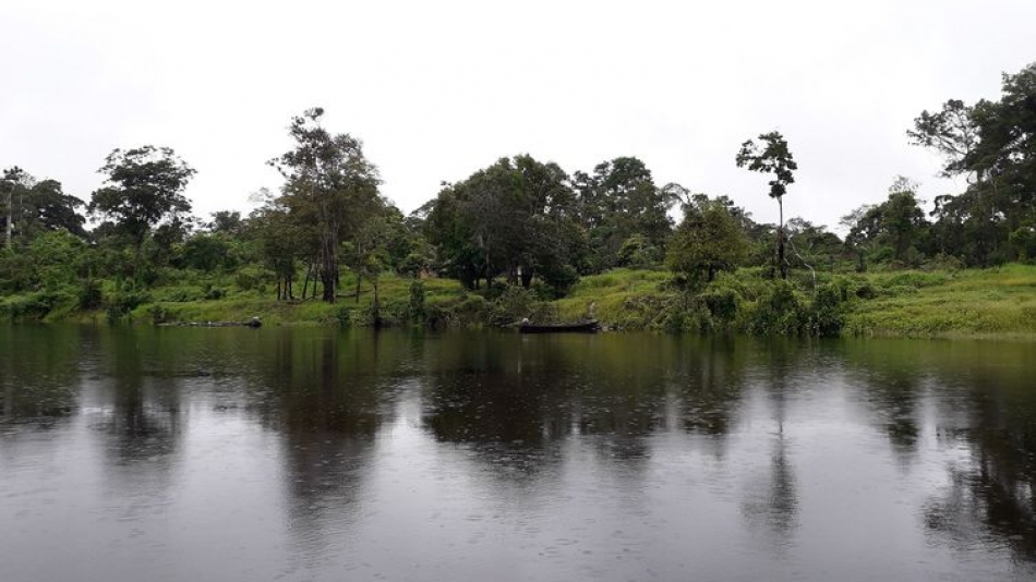 Artigo - Espalhamento da Covid-19 no interior do Amazonas: panorama e reflexões desde o Alto Solimões, Brasil