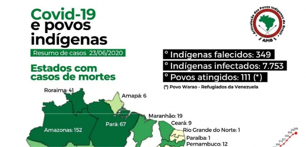 Monitoramento de casos de Covid-19 nos povos indígenas do Brasil