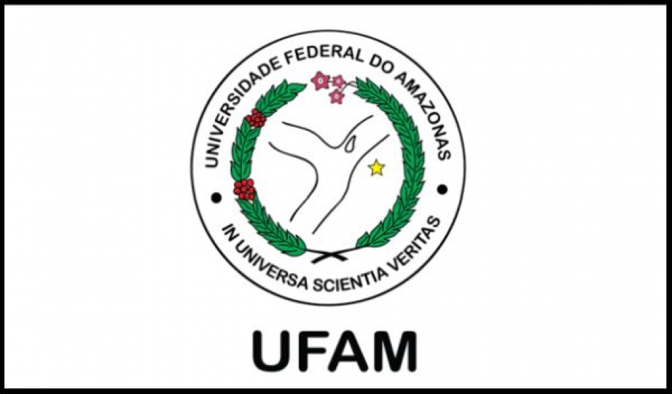 PROCESSO DE SELEÇÃO DO PROGRAMA DE APOIO À INTERIORIZAÇÃO EM PESQUISA E INOVAÇÃO TECNOLÓGICA NO AMAZONAS – PAINTER - EDITAL Nº 003/2020 PARA BOLSISTA AT-IV – FAPEAM