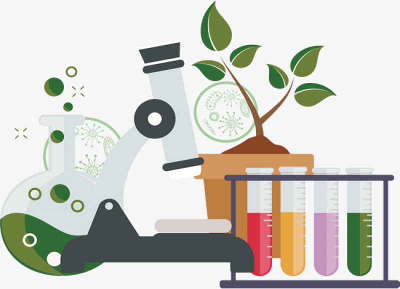 ESTUDO DA PRÁTICA PEDAGÓGICA DOS EGRESSOS DO CURSO DE CIÊNCIAS: BIOLOGIA E QUÍMICA